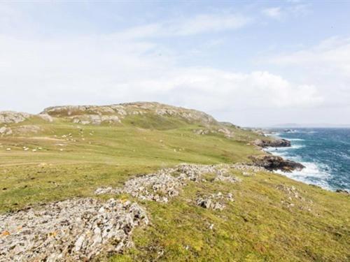 The Beach, Days Bar And B&B Inishbofin Exterior photo